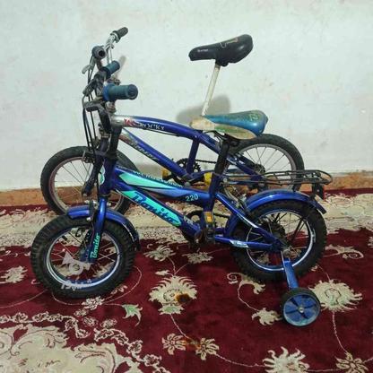 دوچرخه بچگانه در گروه خرید و فروش ورزش فرهنگ فراغت در تهران در شیپور-عکس1