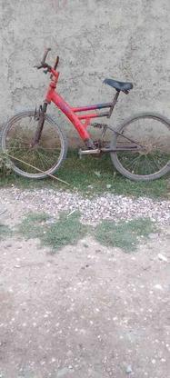 دوچرخه سالم در گروه خرید و فروش ورزش فرهنگ فراغت در گلستان در شیپور-عکس1