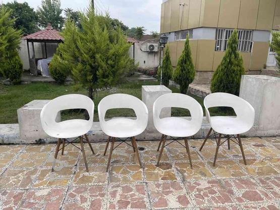 صندلی تک سفید در گروه خرید و فروش صنعتی، اداری و تجاری در مازندران در شیپور-عکس1