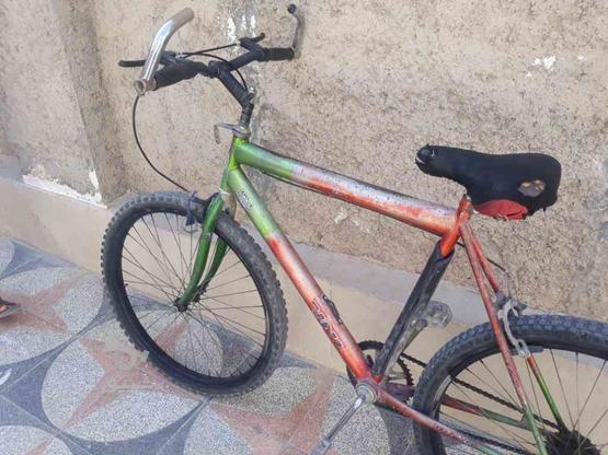 دچرخه 26 سالم در گروه خرید و فروش ورزش فرهنگ فراغت در فارس در شیپور-عکس1