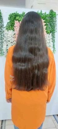 خریدار موی طبیعی بانوان هستیم در گروه خرید و فروش لوازم شخصی در قزوین در شیپور-عکس1
