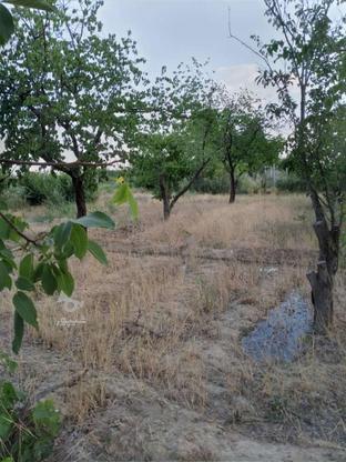 باغ انگور و زمین زراعی 3300 متر در گروه خرید و فروش املاک در آذربایجان غربی در شیپور-عکس1