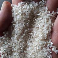 نیم دانه برنج فجر سوزنی