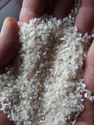 نیم دانه برنج فجر سوزنی در گروه خرید و فروش خدمات و کسب و کار در گلستان در شیپور-عکس1