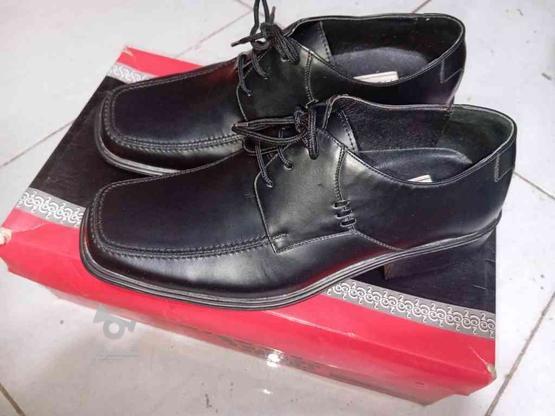 دوجفت کفش نو مردانه 40 در گروه خرید و فروش لوازم شخصی در تهران در شیپور-عکس1