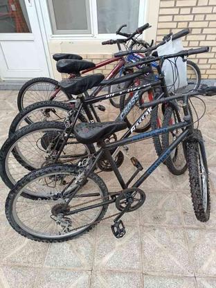 تعدادی دوچرخه 26 و 24 در گروه خرید و فروش ورزش فرهنگ فراغت در آذربایجان شرقی در شیپور-عکس1