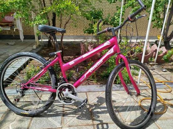 دوچرخرخه 26 دخترانه بونیتو در گروه خرید و فروش ورزش فرهنگ فراغت در آذربایجان شرقی در شیپور-عکس1