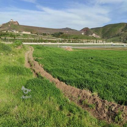 زمین کشاورزی 13000متر سد گاوشان در گروه خرید و فروش املاک در کرمانشاه در شیپور-عکس1