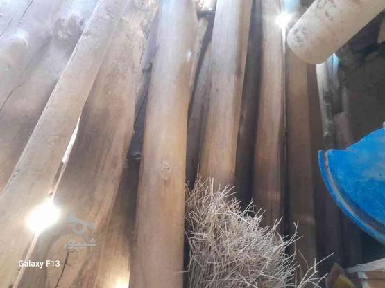 تعدادی تیر چوبی سالم در گروه خرید و فروش صنعتی، اداری و تجاری در قزوین در شیپور-عکس1