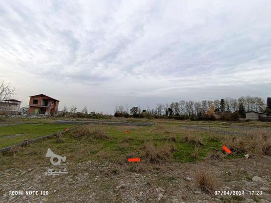 زمین مسکونی 110متر ک در سنگتجن واقع شده در گروه خرید و فروش املاک در مازندران در شیپور-عکس1