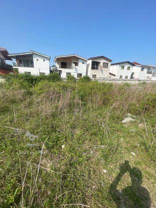 فروش زمین مسکونی 312 متر در سیسنگان زیر قیمت منطقه در گروه خرید و فروش املاک در مازندران در شیپور-عکس1