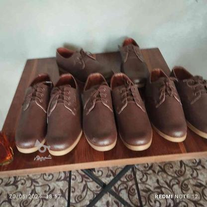 کفش چرم اصلی40 تا44 در گروه خرید و فروش لوازم شخصی در فارس در شیپور-عکس1