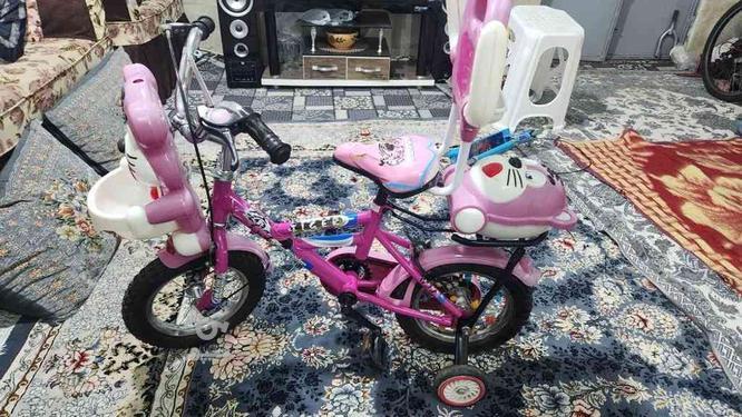 فروش دوچرخه دخترانه مناسب 3 الی 6سال در گروه خرید و فروش ورزش فرهنگ فراغت در خراسان رضوی در شیپور-عکس1