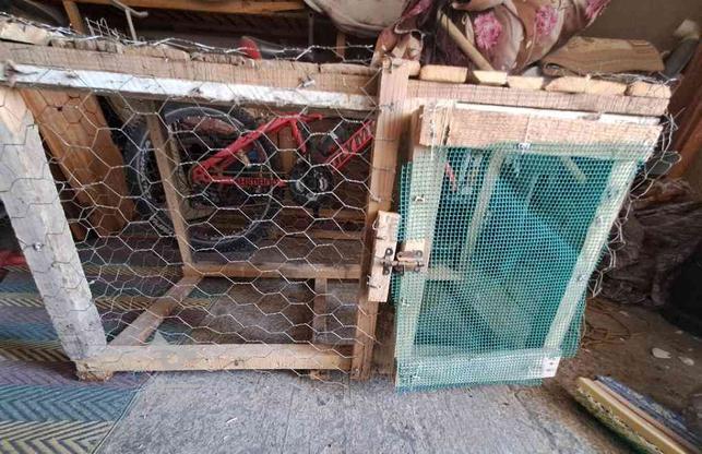 قفس چوبی مناسب برای حیوانات در گروه خرید و فروش ورزش فرهنگ فراغت در اصفهان در شیپور-عکس1