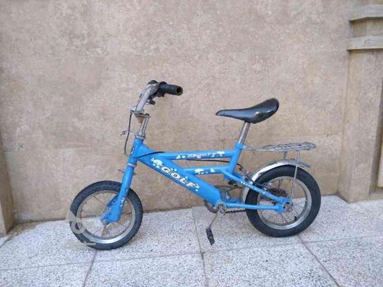 دوچرخه کودک سایز12 در گروه خرید و فروش ورزش فرهنگ فراغت در خراسان رضوی در شیپور-عکس1