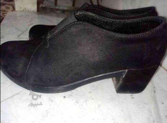 کفش مخملی پاشنه دار در گروه خرید و فروش لوازم شخصی در گلستان در شیپور-عکس1