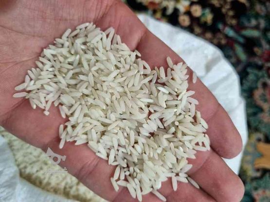 برنج کشت دوم هاشمی درجه یک در گروه خرید و فروش خدمات و کسب و کار در خراسان رضوی در شیپور-عکس1