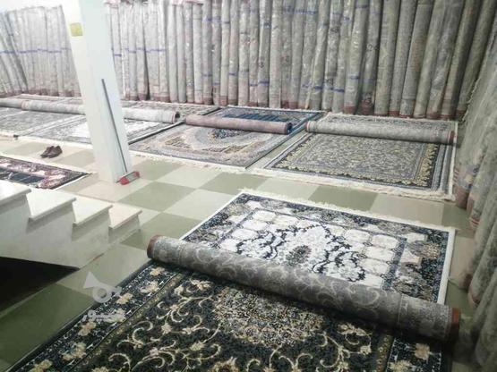 فرش های خوش قیمت در گروه خرید و فروش لوازم خانگی در آذربایجان غربی در شیپور-عکس1