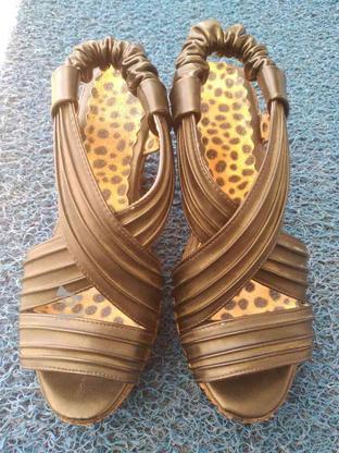 کفش تابستانی در گروه خرید و فروش لوازم شخصی در زنجان در شیپور-عکس1