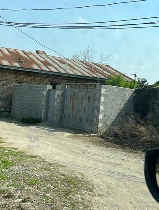 زمین مسکونی دیوار کشی شده آماده ساخت در گروه خرید و فروش املاک در گیلان در شیپور-عکس1