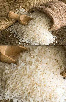 برنج محلی به شرط پخت تاآخر در گروه خرید و فروش خدمات و کسب و کار در فارس در شیپور-عکس1