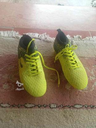 کفش میخی فوتبال در گروه خرید و فروش ورزش فرهنگ فراغت در مازندران در شیپور-عکس1