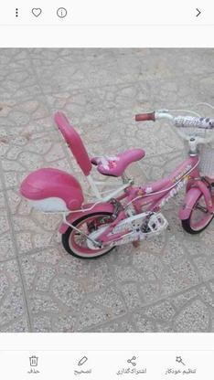 دوچرخه بچه 12 در گروه خرید و فروش ورزش فرهنگ فراغت در اصفهان در شیپور-عکس1