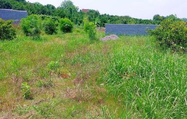 فروش زمین 150 متری در روستای کوتنا