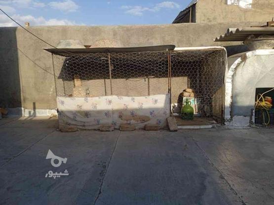 قفست عالی مخصوص حیوانات در گروه خرید و فروش ورزش فرهنگ فراغت در خراسان رضوی در شیپور-عکس1