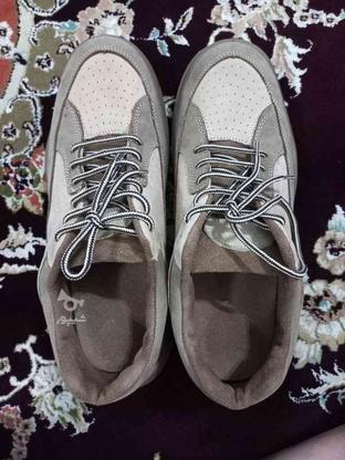 کفش راحتی نبوک در گروه خرید و فروش لوازم شخصی در گیلان در شیپور-عکس1