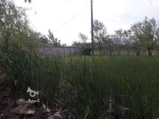 500 متر زمین مسکونی گیلان سیاهکل در گروه خرید و فروش املاک در گیلان در شیپور-عکس1