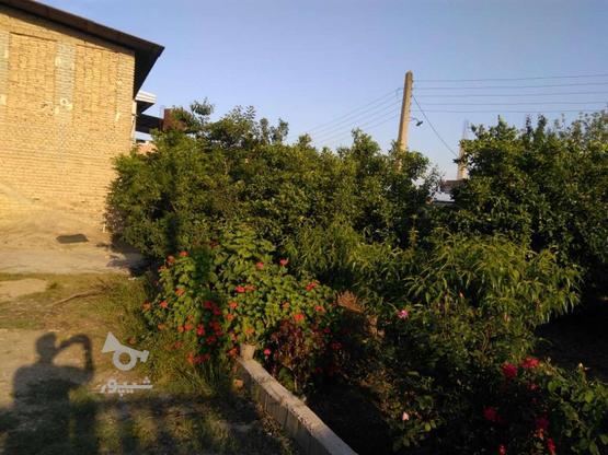 خونه باغ800متر در گروه خرید و فروش املاک در خراسان رضوی در شیپور-عکس1
