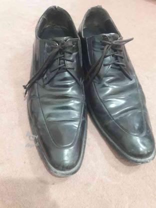 کفش مردانه شیک مد روز در گروه خرید و فروش لوازم شخصی در آذربایجان شرقی در شیپور-عکس1
