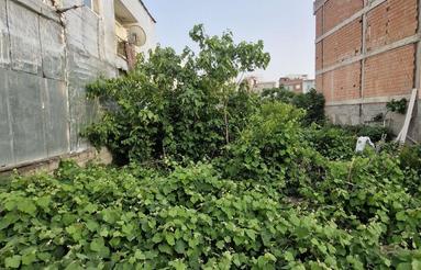 فروش زمین مسکونی 500 متر در شهرک قائم