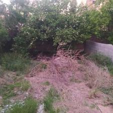 فروش وتهاتر زمین مسکونی 273 متر در میدان امام اخلاص 17