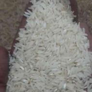 برنج دمسیاه