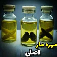 مهره مار اصل +هدیه انگشتر