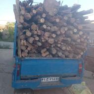 خرید وفروش هرنوع چوب و درخت