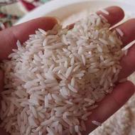 فروش فوری برنج