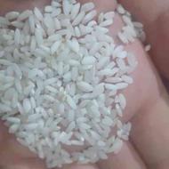 برنج عنبر بو خوزستان