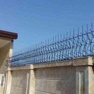 حفاظ شاخ گوزنی دزدگیر کاج