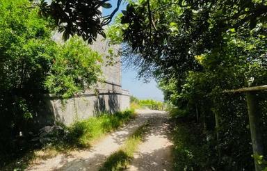 فروش زمین مسکونی 300 متر در شکتا