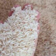 برنج طارم هاشمی (پاسند)