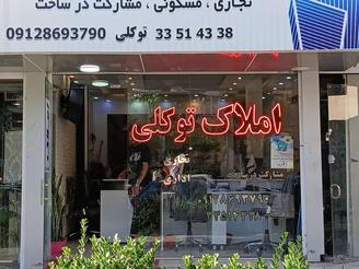 مغازه درختی گلشهر