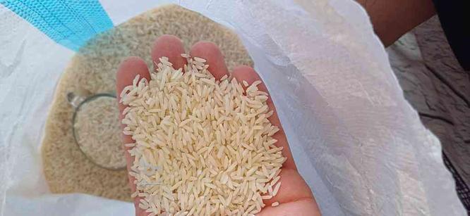 برنج ایرانی...