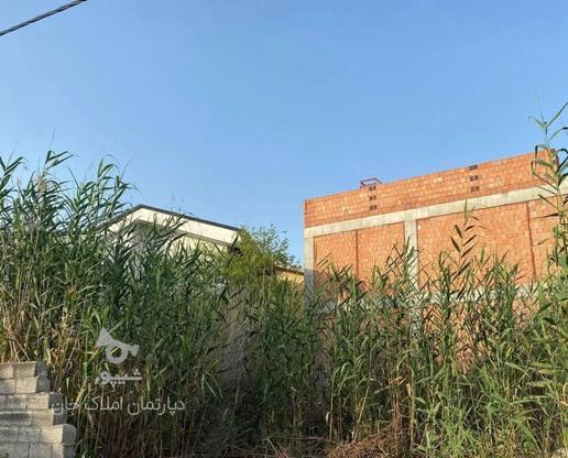 فروش زمین مسکونی 343 متر در درویش آباد در گروه خرید و فروش املاک در مازندران در شیپور-عکس1