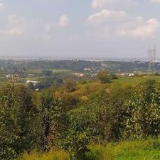 فروش زمین کشاورزی 860 متر در وسطی کلا