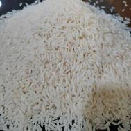 فروش برنج امرالهی کشت دوم