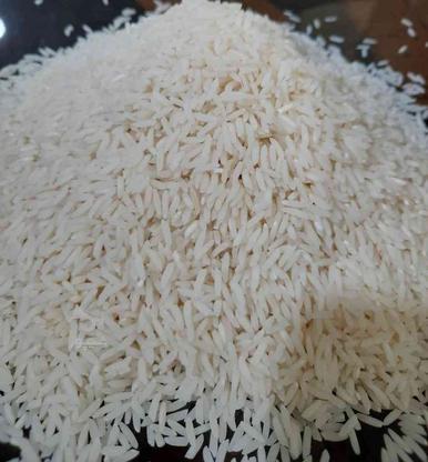 فروش برنج امرالهی کشت دوم در گروه خرید و فروش خدمات و کسب و کار در مازندران در شیپور-عکس1