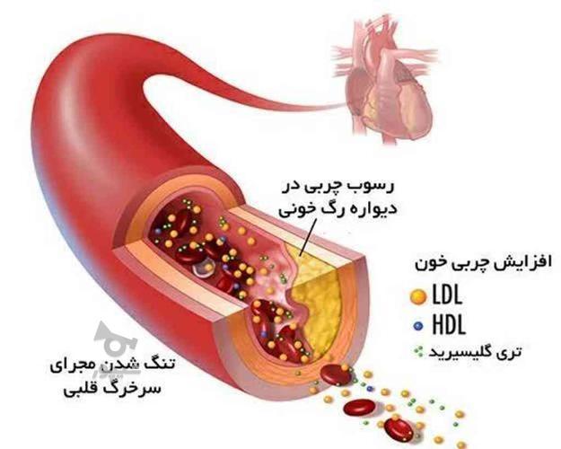 آموزش طب سنتی با مدارک بین المللی